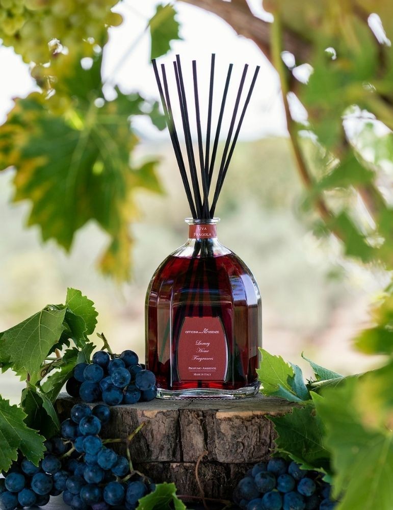 OFFICINA DELLE ESSENZE „Uva Fragola“ – namų kvapas su lazdelėmis, 250 ml